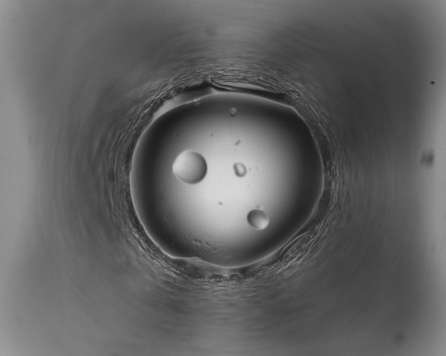 X0000112020769200908031356