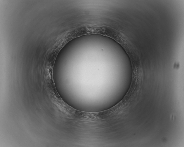 X0000112020770200908031356