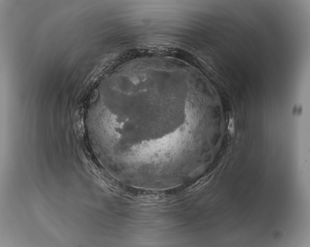 X0000112020771200908031356