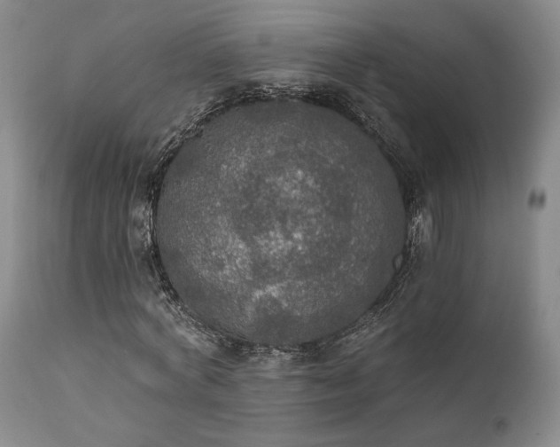 X0000112020772200908031356