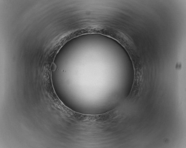 X0000112020773200908031356