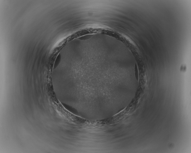 X0000112020775200908031356