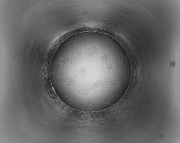 X0000112020776200908031356