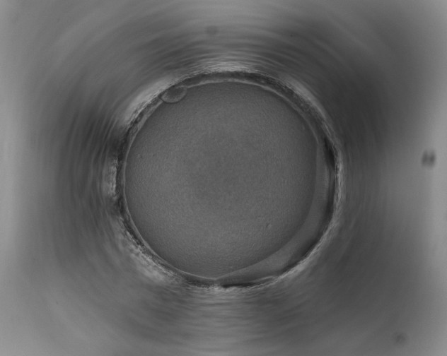 X0000112020777200908031356