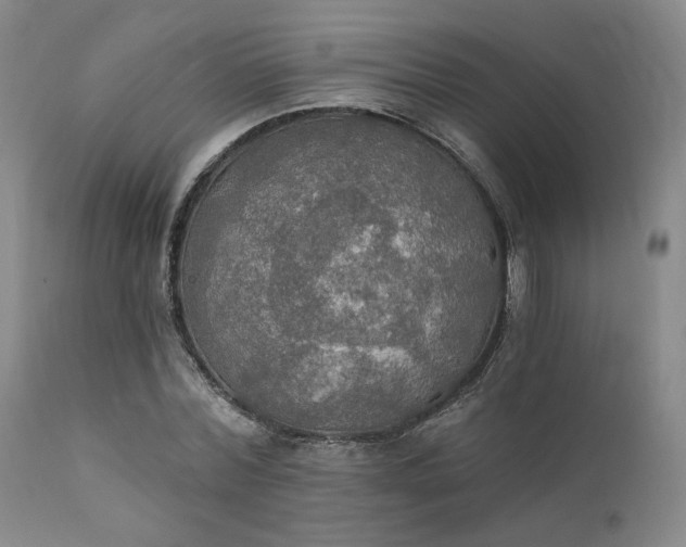 X0000112020780200908031356