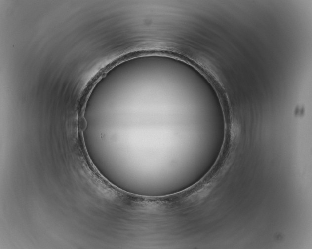 X0000112020781200908031356