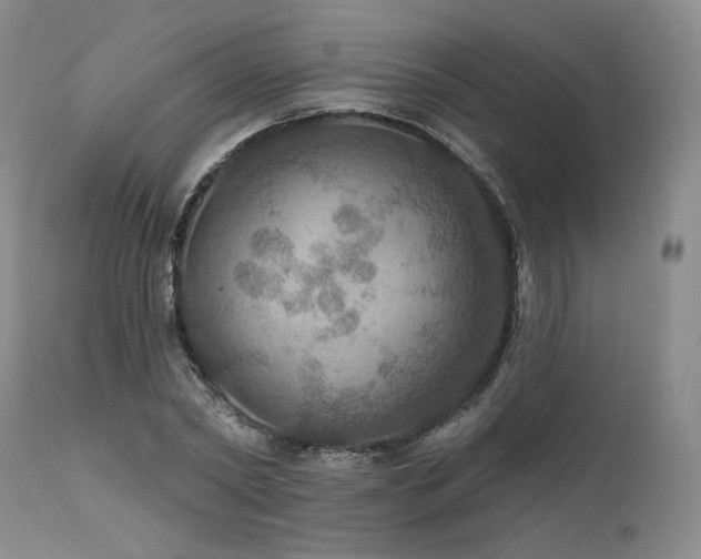 X0000112020782200908031356