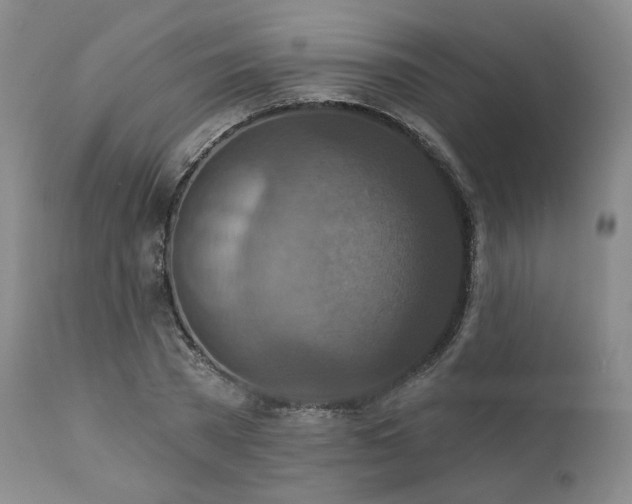 X0000112020785200908031356