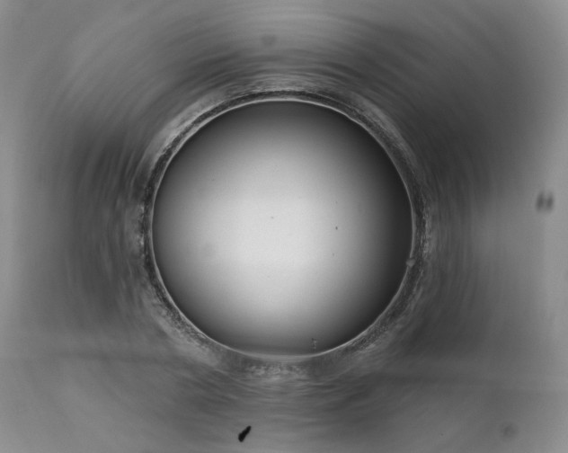 X0000112020786200908031356