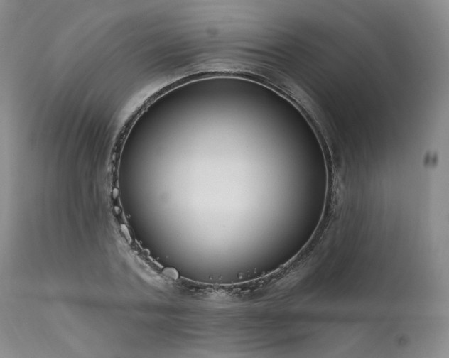 X0000112020787200908031356