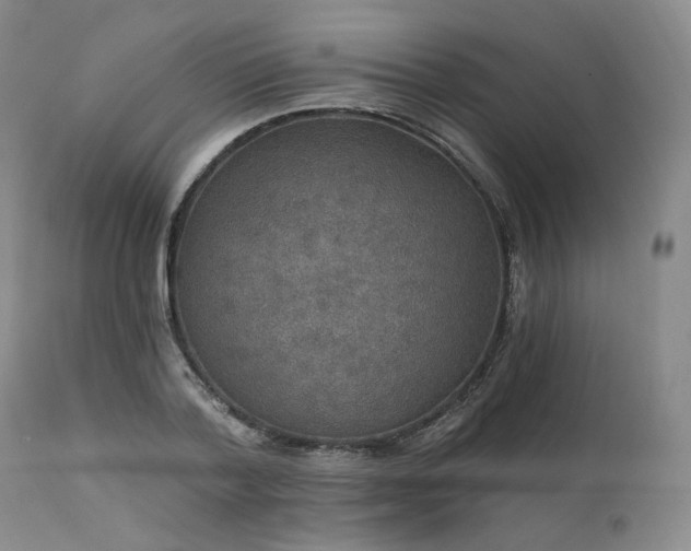 X0000112020788200908031356