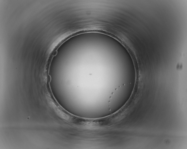 X0000112020789200908031356