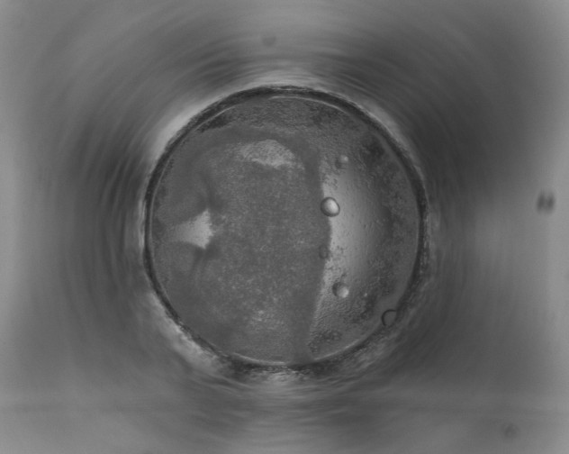 X0000112020791200908031356