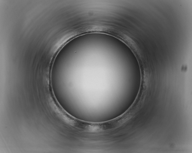 X0000112020794200908031356