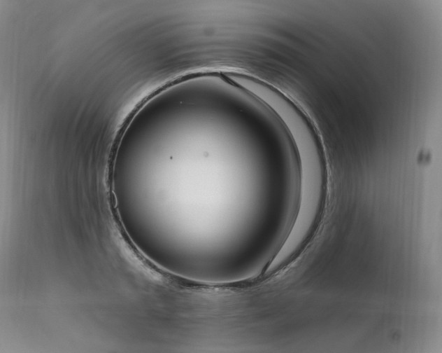 X0000112020797200908031356