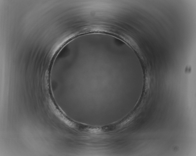 X0000112020798200908031356