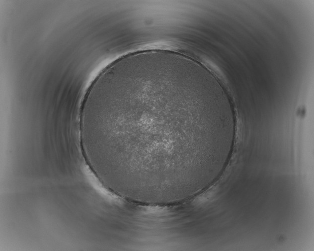 X0000112020800200908031356