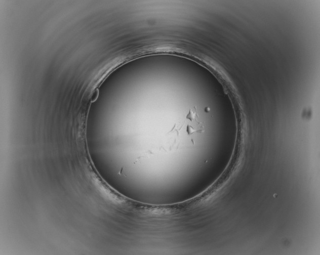 X0000112020801200908031356