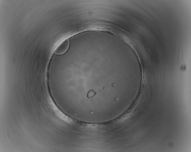 X0000112020803200908031355