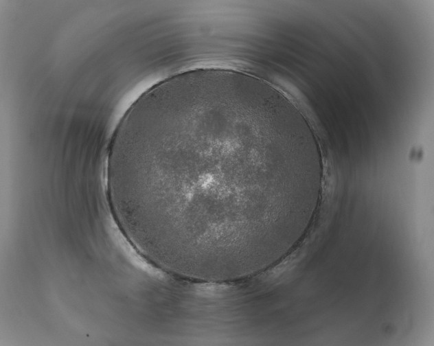 X0000112020804200908031355