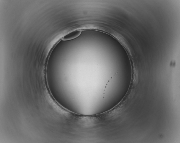 X0000112020805200908031355