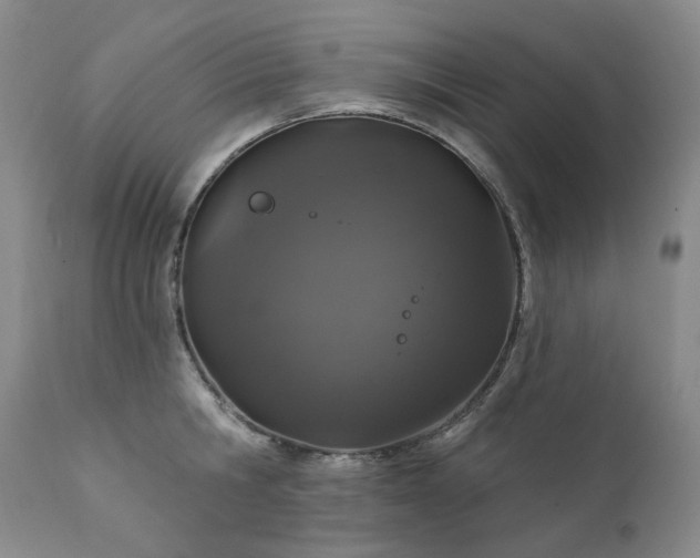 X0000112020806200908031355