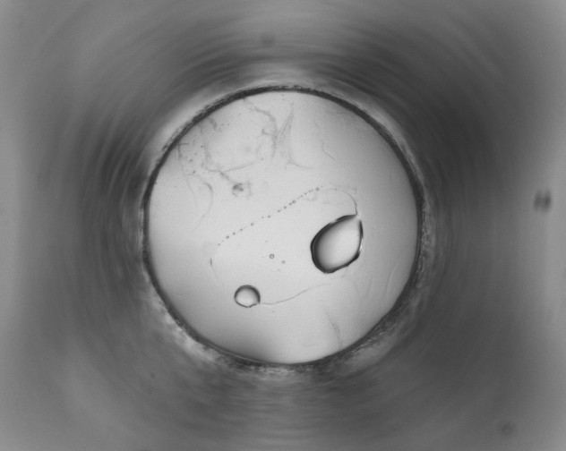 X0000112020807200908031355