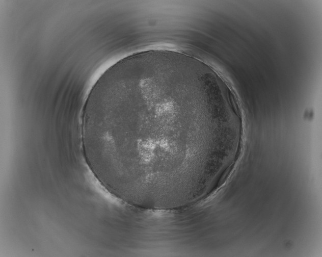 X0000112020808200908031355