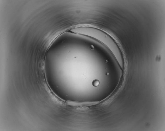 X0000112020809200908031355