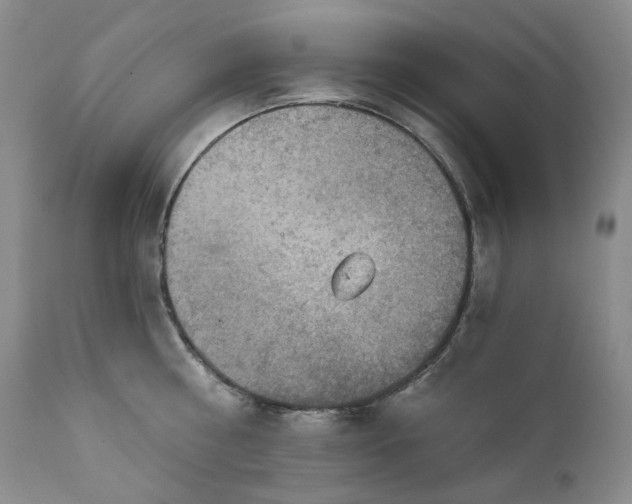 X0000112020810200908031355