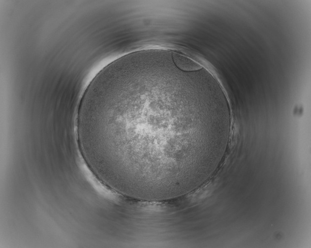 X0000112020811200908031355