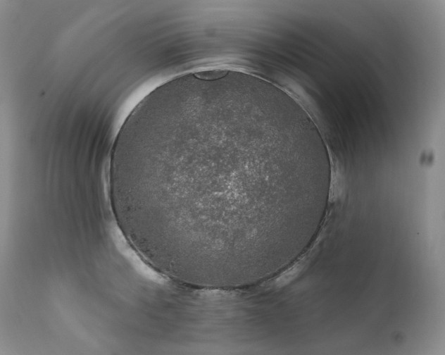 X0000112020812200908031355