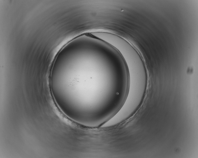 X0000112020813200908031355