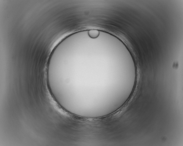 X0000112020814200908031355