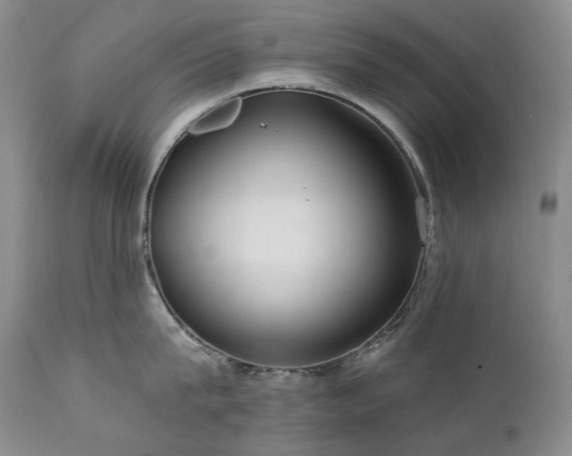 X0000112020815200908031355