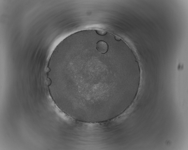 X0000112020816200908031355