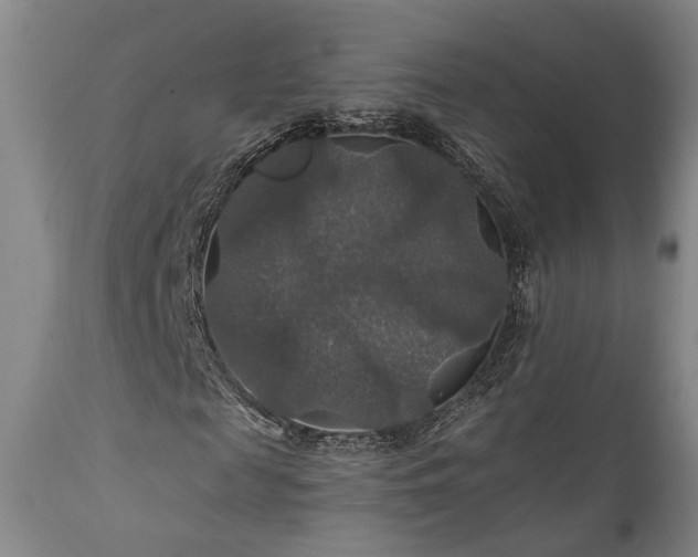 X0000112020817200908031354