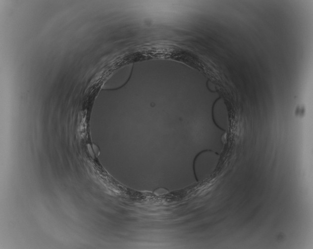 X0000112020818200908031354