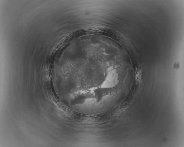 X0000112020819200908031354