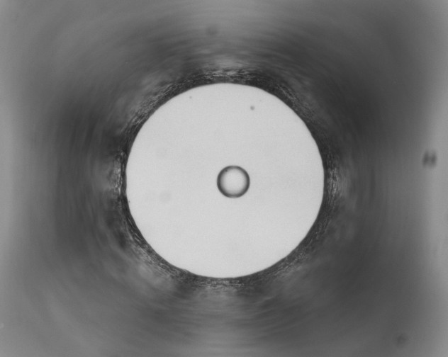 X0000112020820200908031354