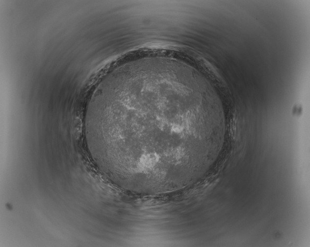 X0000112020821200908031354