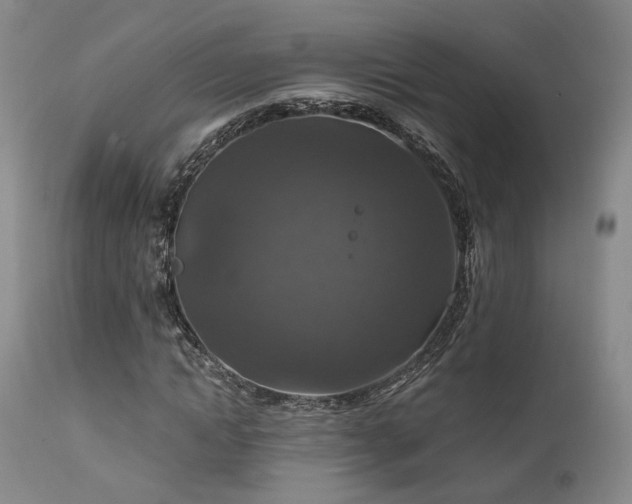 X0000112020822200908031354