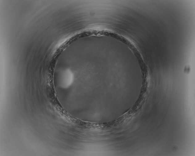 X0000112020823200908031354