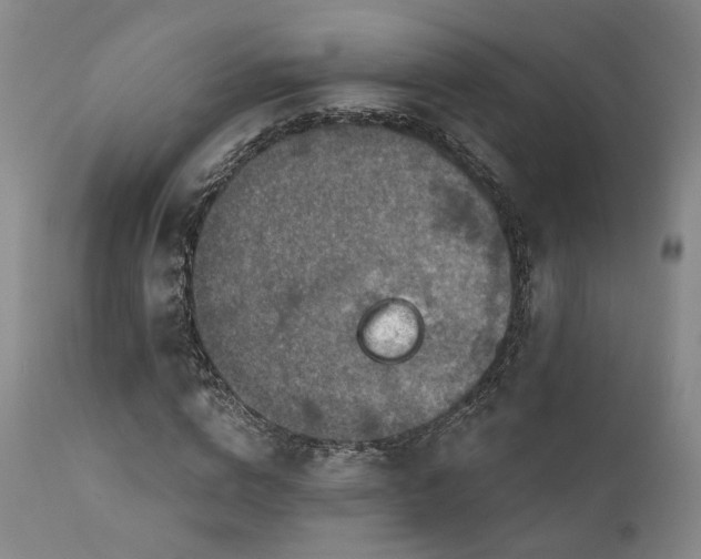 X0000112020824200908031354