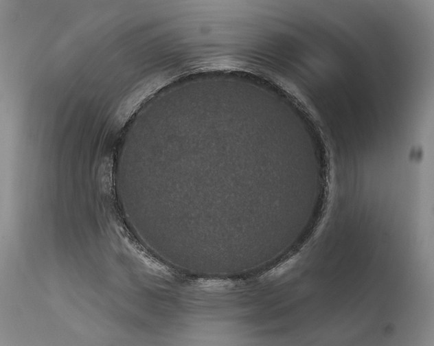 X0000112020825200908031354