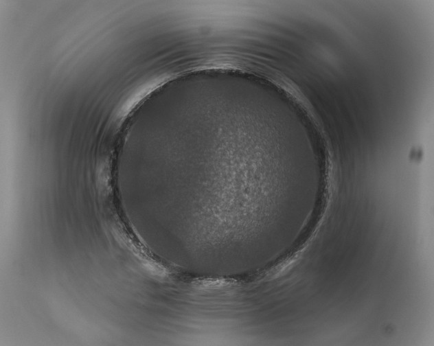 X0000112020826200908031354