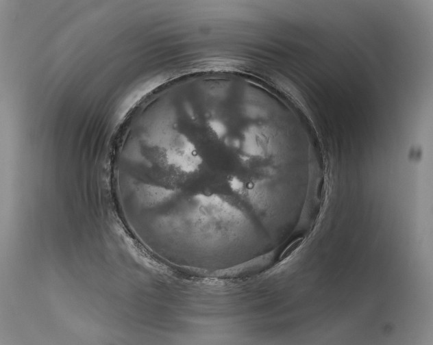 X0000112020827200908031354