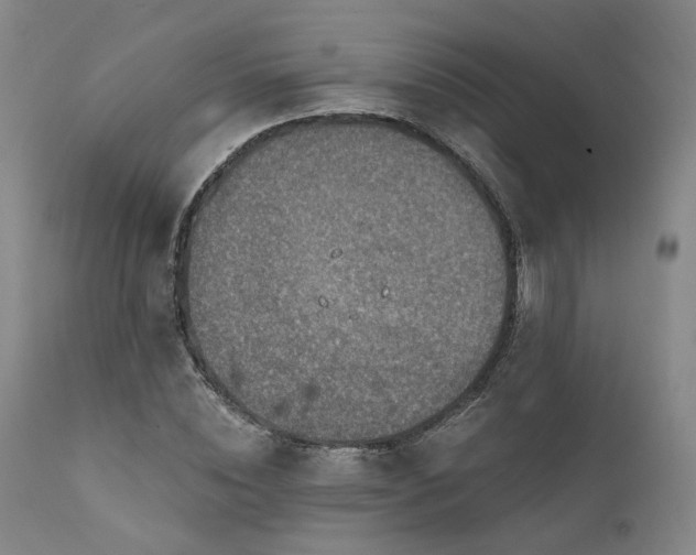 X0000112020828200908031355