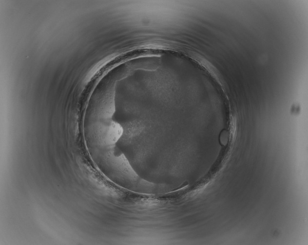 X0000112020829200908031355