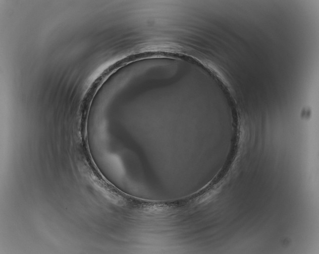 X0000112020830200908031355